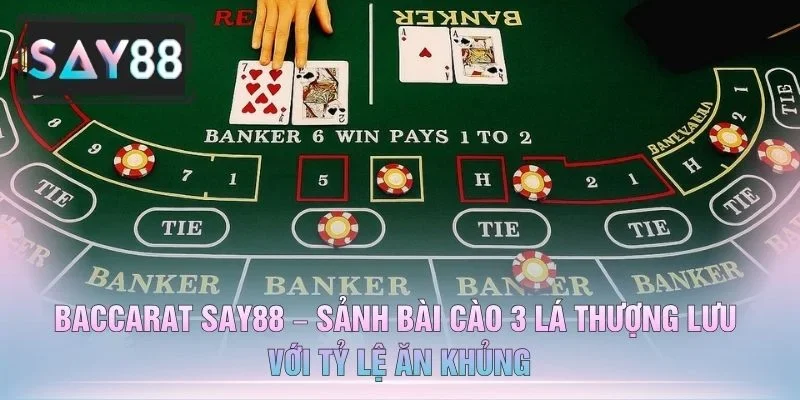 Baccarat SAY88 – Sảnh Bài Cào 3 Lá Thượng Lưu Với Tỷ Lệ Ăn Khủng