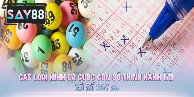 Các Loại Hình Cá Cược Con Số Thịnh Hành Tại Xổ Số Say 88