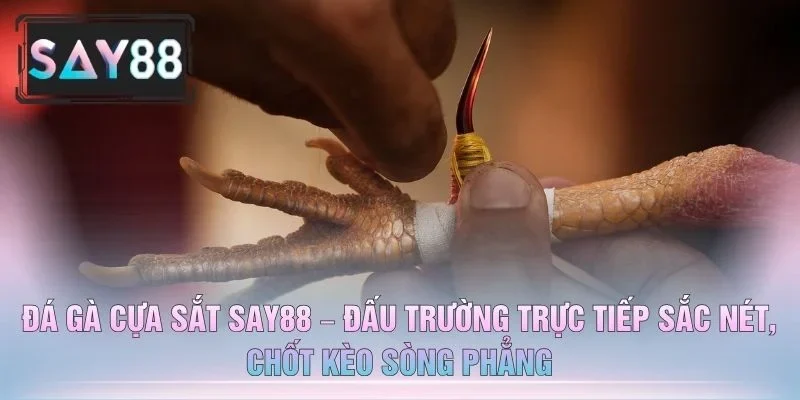 Đá Gà Cựa Sắt SAY88 – Đấu Trường Trực Tiếp Sắc Nét, Chốt Kèo Sòng Phẳng
