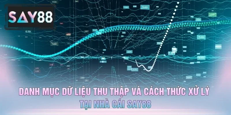 Danh Mục Dữ Liệu Thu Thập Và Cách Thức Xử Lý Tại Nhà Cái Say88