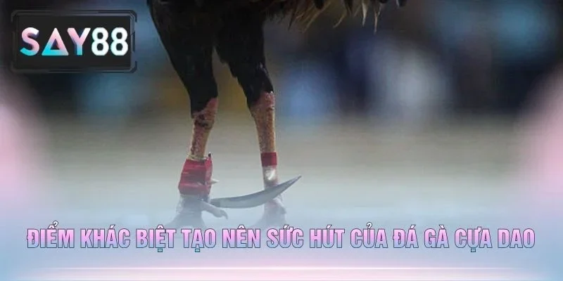 Điểm Khác Biệt Tạo Nên Sức Hút Của Đá Gà Cựa Dao