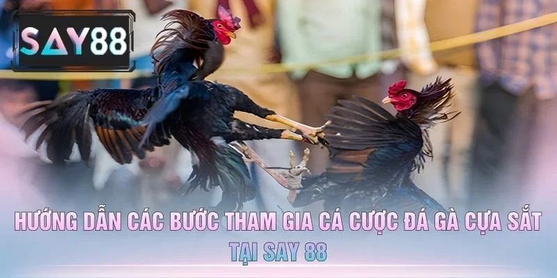 Hướng Dẫn Các Bước Tham Gia Cá Cược Đá Gà Cựa Sắt Tại Say 88